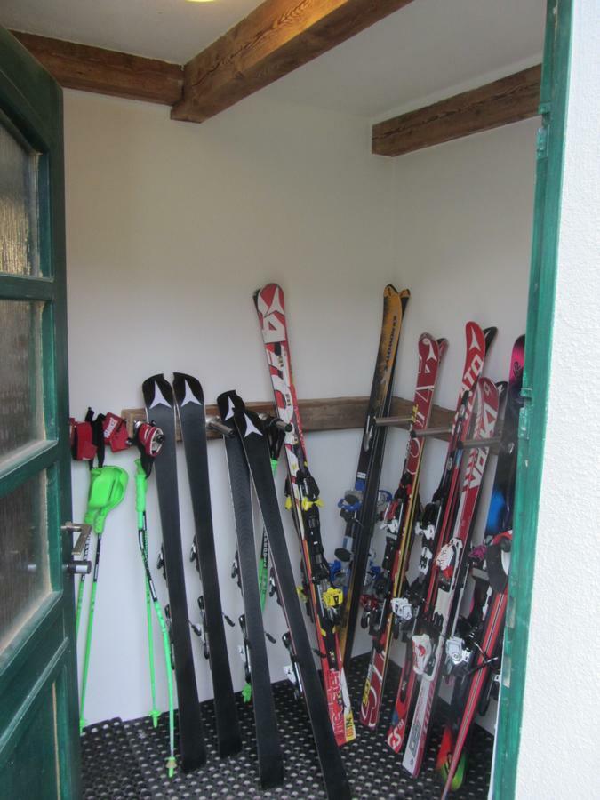Chalet "Hoamatl" Haus im Ennstal Buitenkant foto